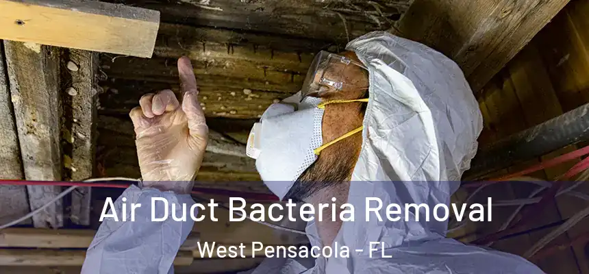 Air Duct Bacteria Removal West Pensacola - FL