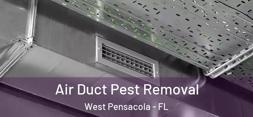 Air Duct Pest Removal West Pensacola - FL