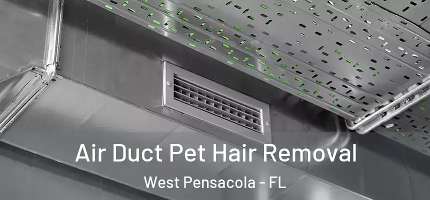 Air Duct Pet Hair Removal West Pensacola - FL