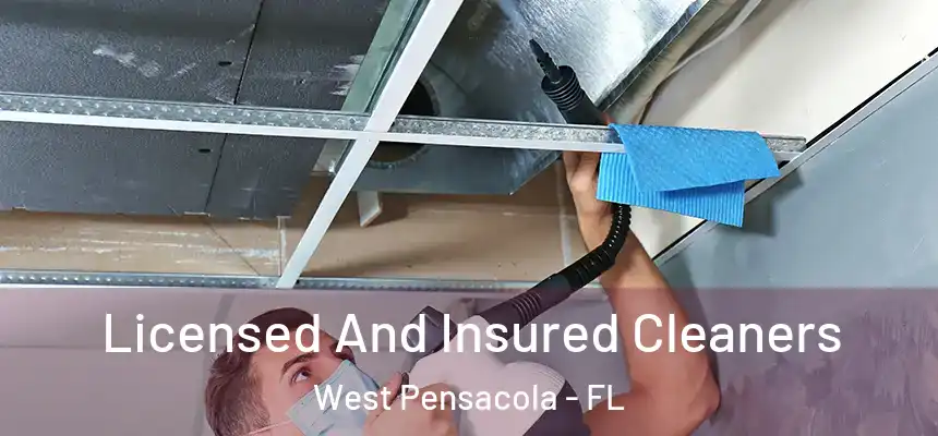 Licensed And Insured Cleaners West Pensacola - FL