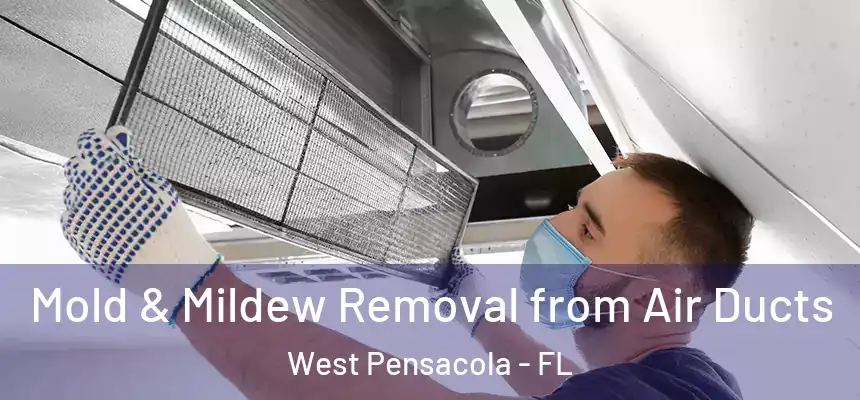 Mold & Mildew Removal from Air Ducts West Pensacola - FL