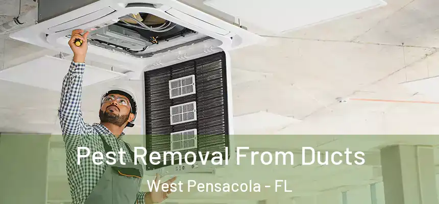  Pest Removal From Ducts West Pensacola - FL