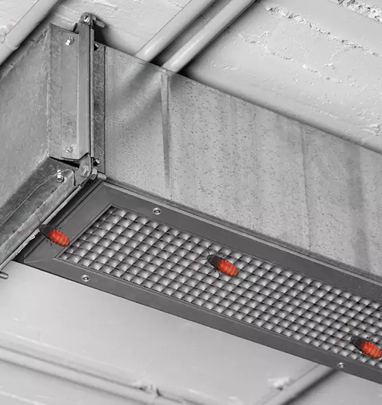 Affordable Insect Removal from Air Ducts in West Pensacola, FL