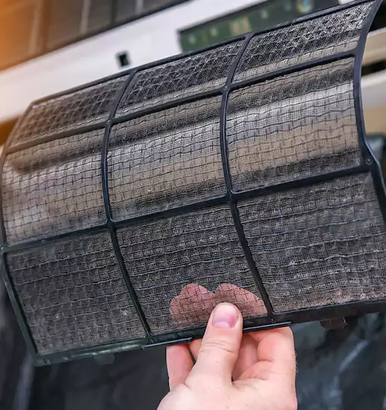 About Pet Dander Duct Cleaning in West Pensacola, FL